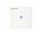 Tellur Smart WiFi switch, SS1N 1 port 1800W 10A