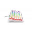 ENDORFY Thock TKL keyboard USB QWERTY White