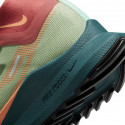 Running shoes Nike React Pegasus Trail 4 Gore-Tex W DJ7929-300 (40.5)