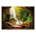 Fototapeet - Forest Refuse - 450x315