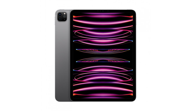 iPad Pro 11" Wi-Fi 1TB - Space Gray 4th Gen