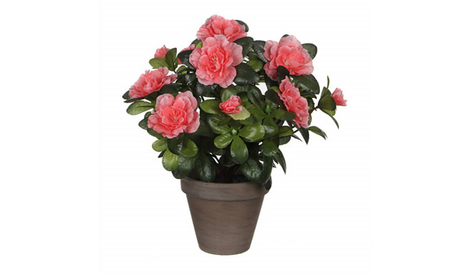 Decorative Plant Mica Decorations 11,5 x 27 x 20 cm