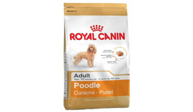 kuiv koeratoit ROYAL CANIN Poodle kanaga 1,5 kg