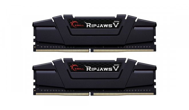 G.Skill Ripjaws V F4-3600C16D-64GVK memory module 64 GB 2 x 32 GB DDR4 3600 MHz