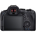 Canon EOS R6 Mark II + RF 50mm