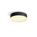 Philips Hue Enrave black S