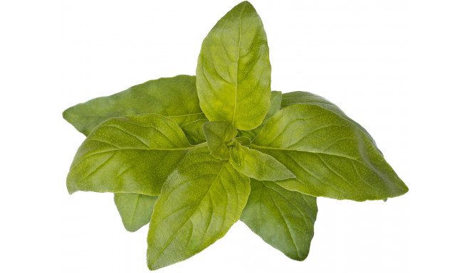 Click & Grow Smart Garden refill Laimbasiilik 3tk