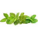 Click & Grow Plant Pod Calming Tea Mix 9-pack