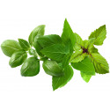 Click & Grow Plant Pod Basil Variety Mix 9-pack