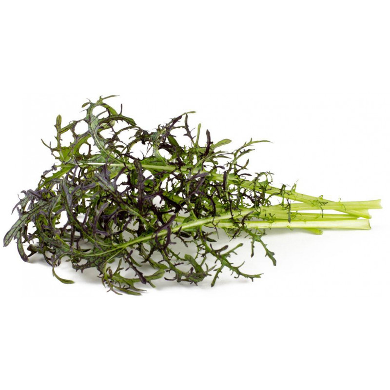 Click & Grow Smart Garden refill Punane sinep 3tk