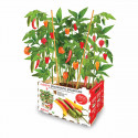Cultivation Set Batlle Spicy Peppers 30 x 19,5 x 16,2 cm