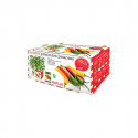 Cultivation Set Batlle Spicy Peppers 30 x 19,5 x 16,2 cm