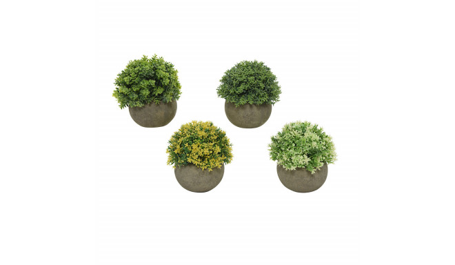 Dekoratiivne Taim Everlands Ø 12 cm Taimepott Plastmass