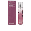 CAUDALIE EAUX FRAICHES eau fraîche thé des vignes 50 ml
