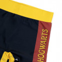 Boys Swim Shorts Harry Potter Multicolour (10 Years)