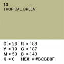 Superior Background Paper 13 Tropical Green 2.72 x 11m