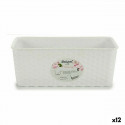 Istutuskast Valge Plastmass (13 x 11 x 28,5 cm) (12 Ühikut)