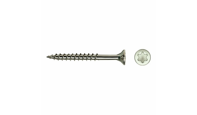 Kruvide karp CELO 100 Ühikut Tsingitud (4,5 x 80 mm)