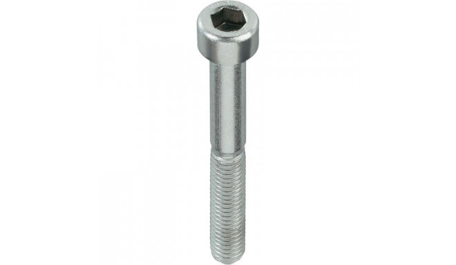 BOLT (DIN912 M5X20 ZN) 30 PCS