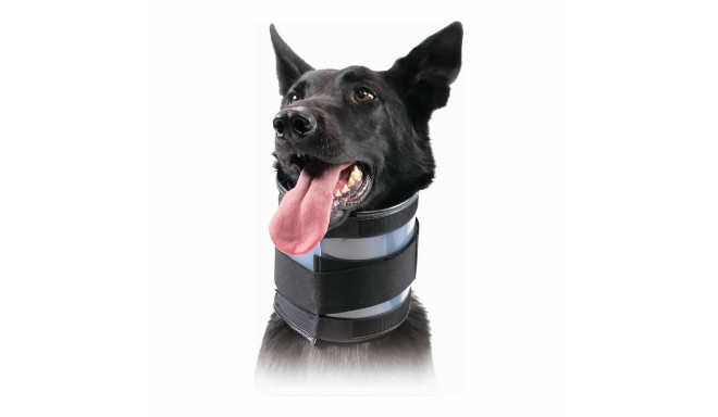 Cervical Collar for Dogs KVP Black (9-36 cm)