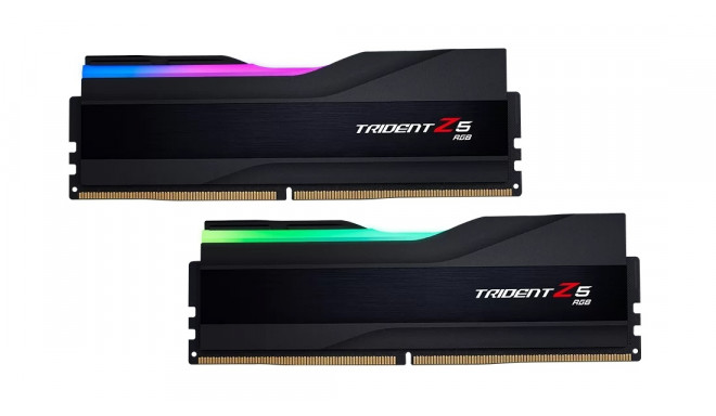 MEMORY DIMM 16GB DDR5-6600/6600J3440G16GX2-TZ5RK G.SKILL