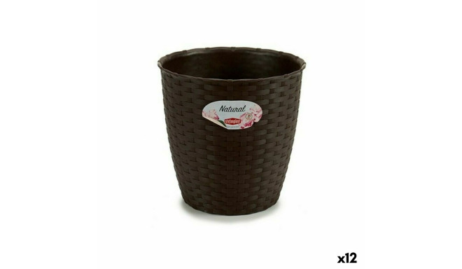 Банка Stefanplast Пластик Шоколад 19 x 17,5 x 19 cm (12 штук)