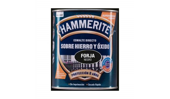 Lakk AkzoNobel 5093196 750 ml Viimistluslakk Must Matt