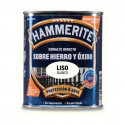 Lakk AkzoNobel 5094130 750 ml Viimistluslakk