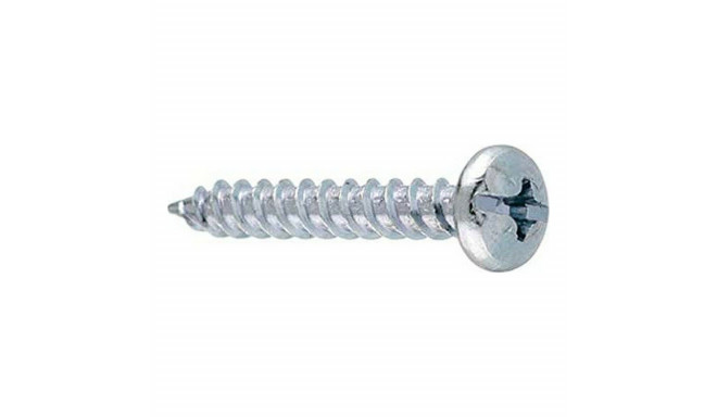 Box of screws CELO 100 Units Galvanised (4,5 x 35 mm)