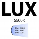 Linkstar püsivalgusti SLH4-SB5050 + softboks 50x50cm