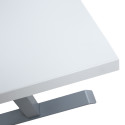 Töölaud ERGO 2-mootoriga 160x80xH60-125cm, hallikasvalge