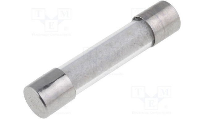 Eska kaitse ZGT-10A 10A;250V AC