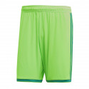 Adidas Regista 18 Short M CF9598 (S)