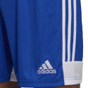 Adidas Tastigo 19 Shorts M DP3682 shorts (XXL)