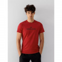 T-shirt 4F M 4FSS23TTSHM539-62S (M)