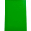 Binding Covers Displast Green A4 polypropylene (50 Units)