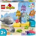 10972 LEGO® DUPLO® Town Okeāna savvaļas dzīvnieki