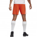 Adidas Squadra 21 Short M GN8084 (XXL)