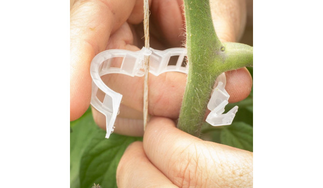Reusable tomato plant clips Clipper 23mm 100tk