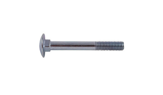 BOLT (DIN603 M10X40 ZN) 10PCS