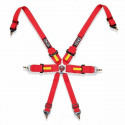 Harness with 6 fastening points Fia Racing OCC Motorsport (Blue)