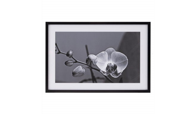 Canvas Orchid 65 x 2 x 95 cm Flower