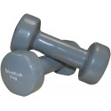 Dumbbells vinyl SVELTUS Epoxy 1183 2x3 kg Gre