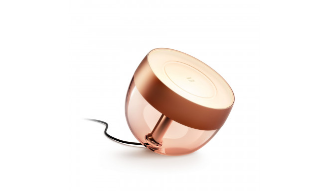 Philips Hue Iris Portable lamp, Copper special edition