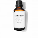 Näoõli Daffoil Seeder (100 ml)