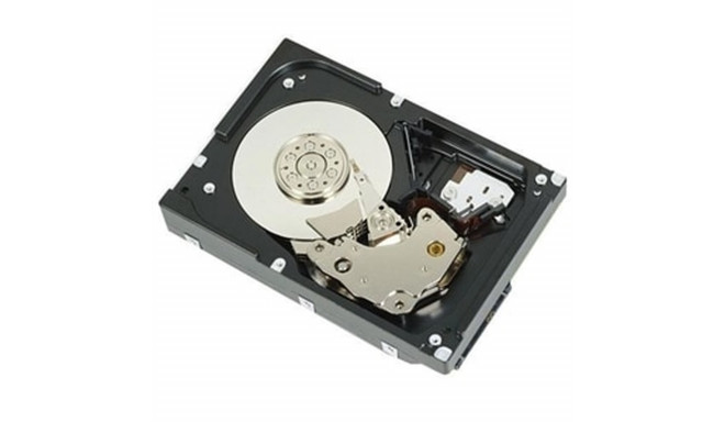 Cietais Disks Dell 400-AUPW 3,5" 7200 rpm 1 TB