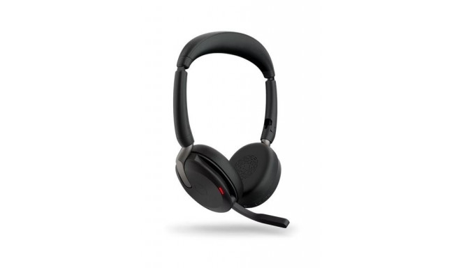 Evolve2 65 Flex Link380c MS Stereo