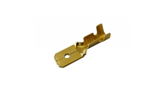 Kaablite Aasaterminal Isaspistik 6,3 mm 100 Ühikut