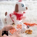 My Little Pet Interactive Dog with Remote Control and Accessories