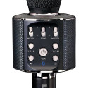 Lenco BMC-090 Black Karaoke microphone
